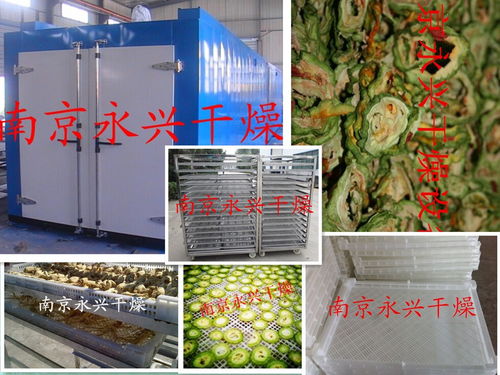 专业设计服务 从构想到实现的卓越旅程